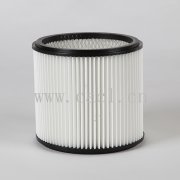 GE PTFE Filter