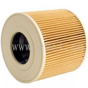 Wet & Dry Filter